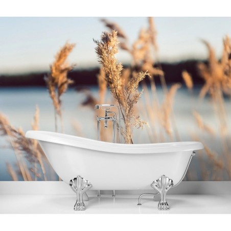 Fototapete - Pampasgras auf einem See Hintergrund | Feeby