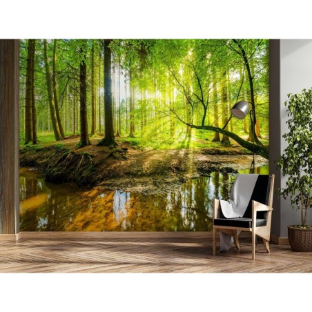 Fototapete - Bach im Wald bei Sonnenaufgang Natur | Feeby