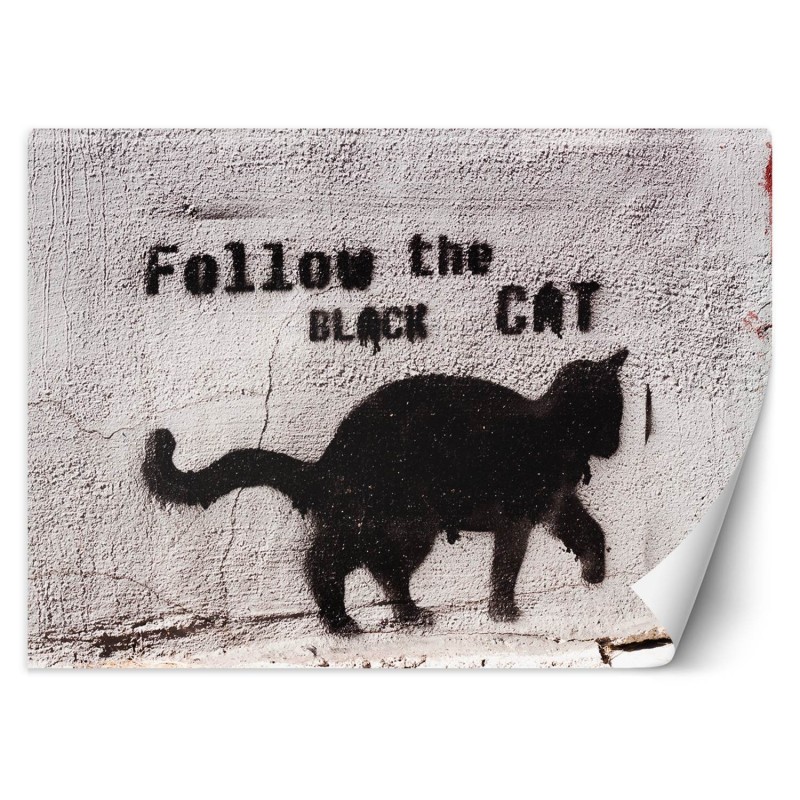 Modische Fototapete - Banksy Graffiti Schwarze Katze | Feeby