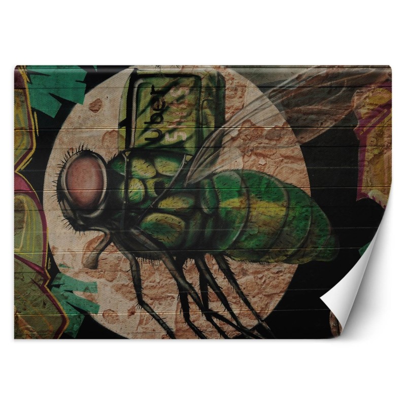 Stilvolle Fototapete - Fliege und Mond Graffiti | Feeby