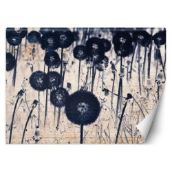 Fototapete - Monochrome Pusteblumen auf Brettern | Feeby