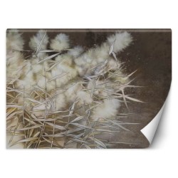 Fototapete - Pampasgras Boho | Feeby