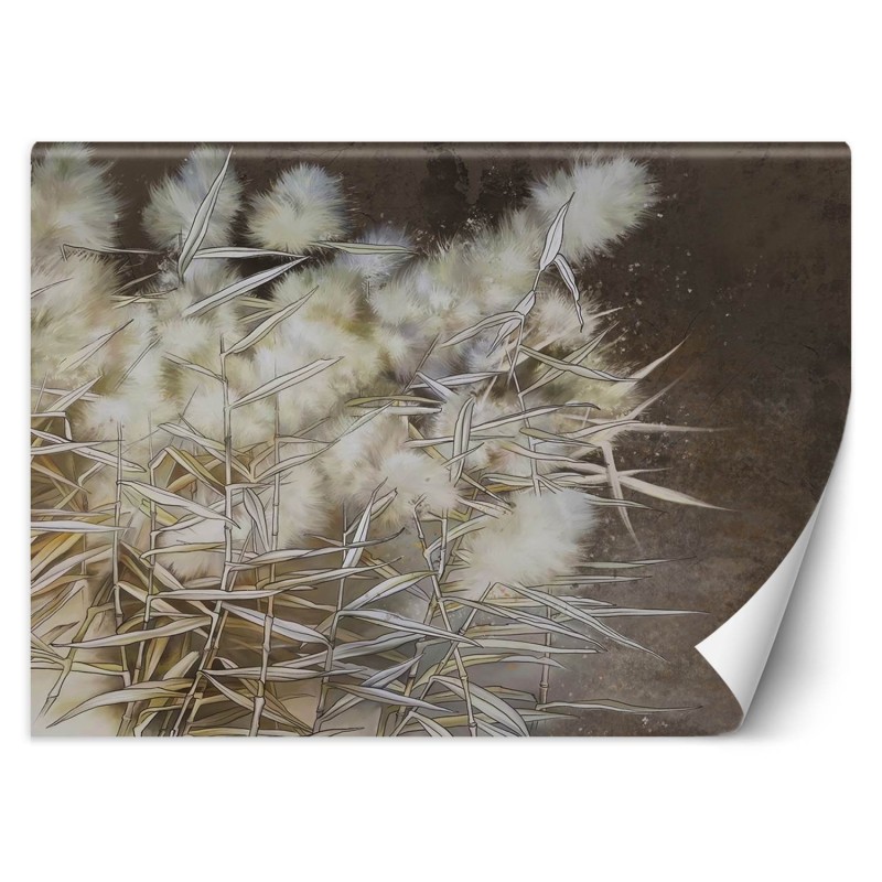 Fototapete - Pampasgras Boho | Feeby