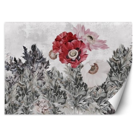 Fototapete - Rot Mohnblumen im Garten | Feeby