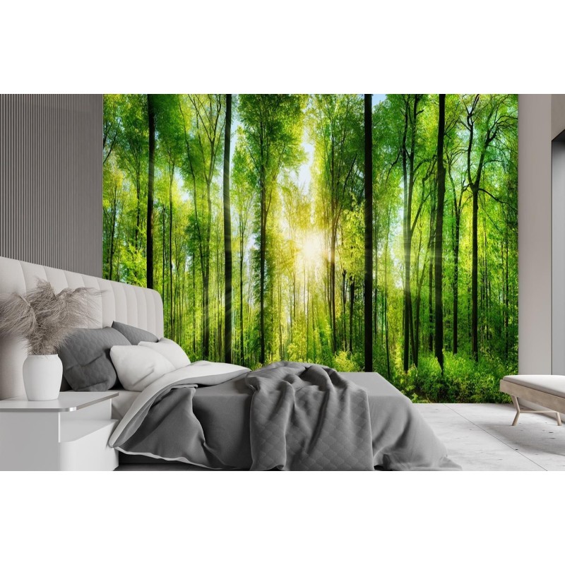 Stilvolle Fototapete - Sonnenstrahlen im Wald | Feeby