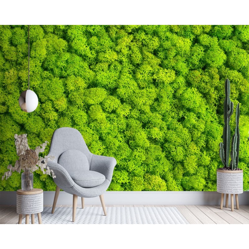 Stilvolle Fototapete - Moos Natur Textur | Feeby