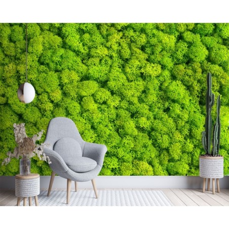 Stilvolle Fototapete - Moos Natur Textur | Feeby