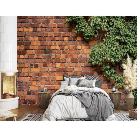 Fototapete - Ziegelmauer und Reben | Feeby