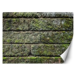 Fototapete - Vintage Ziegel Mauer | Feeby