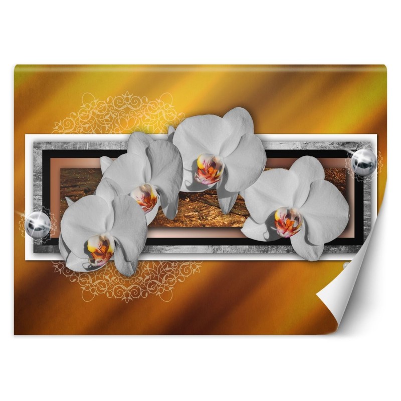 Moderne Fototapete - Geometrie und Orchideen | Feeby