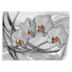 Stilvolle Fototapete - Abstrakte Orchideen | Feeby