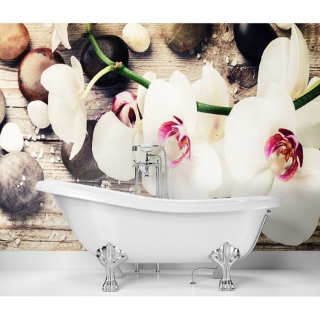 Stilvolle Fototapete - Zen-Orchideen | Feeby