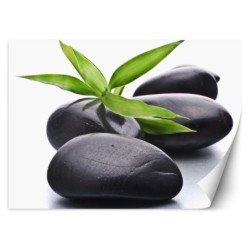 Modische Fototapete - Zen-Steine Spa | Feeby