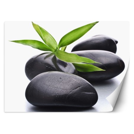 Modische Fototapete - Zen-Steine Spa | Feeby