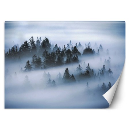 Fototapete - Wald im Nebel | Feeby