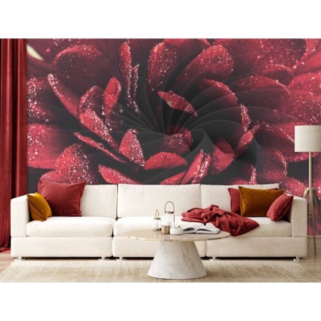 Fototapete - Blume im Makromaßstab | Feeby