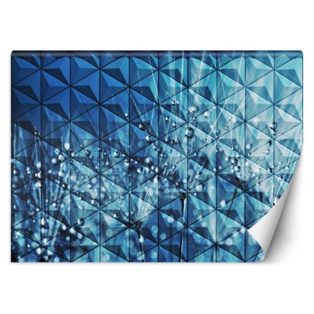 Fototapete - Pusteblume 3d Tautropfen | Feeby