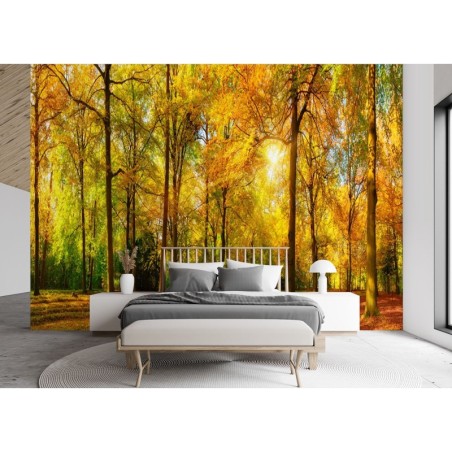 Moderne Fototapete - Herbst Wald Natur | Feeby