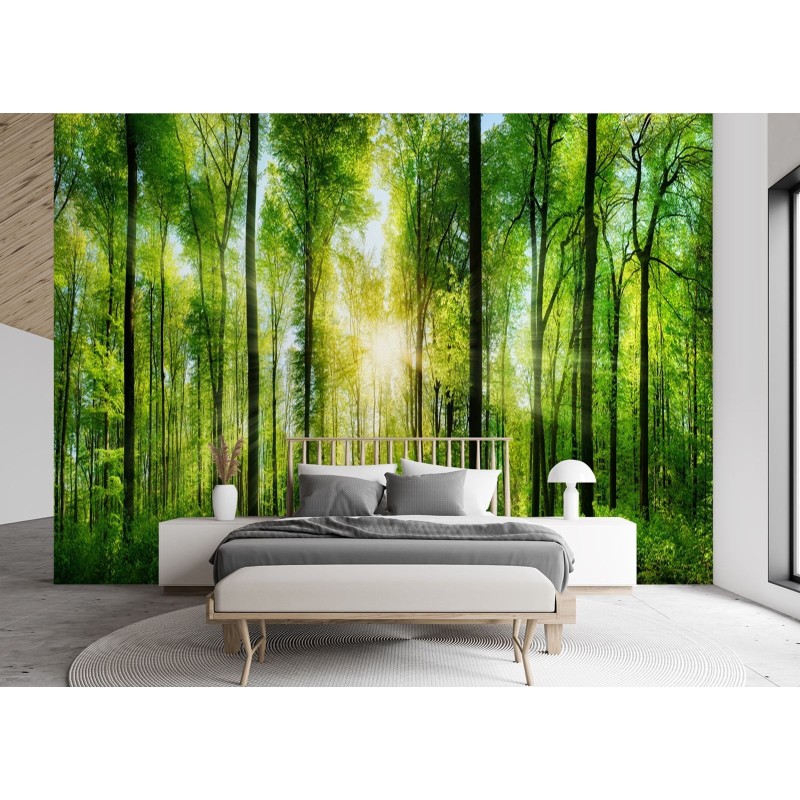 Modische Fototapete - Sonne Wald Natur | Feeby
