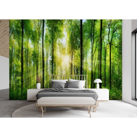 Modische Fototapete - Sonne Wald Natur | Feeby