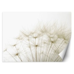 Moderne Fototapete - Pusteblume Makro Beige | Feeby