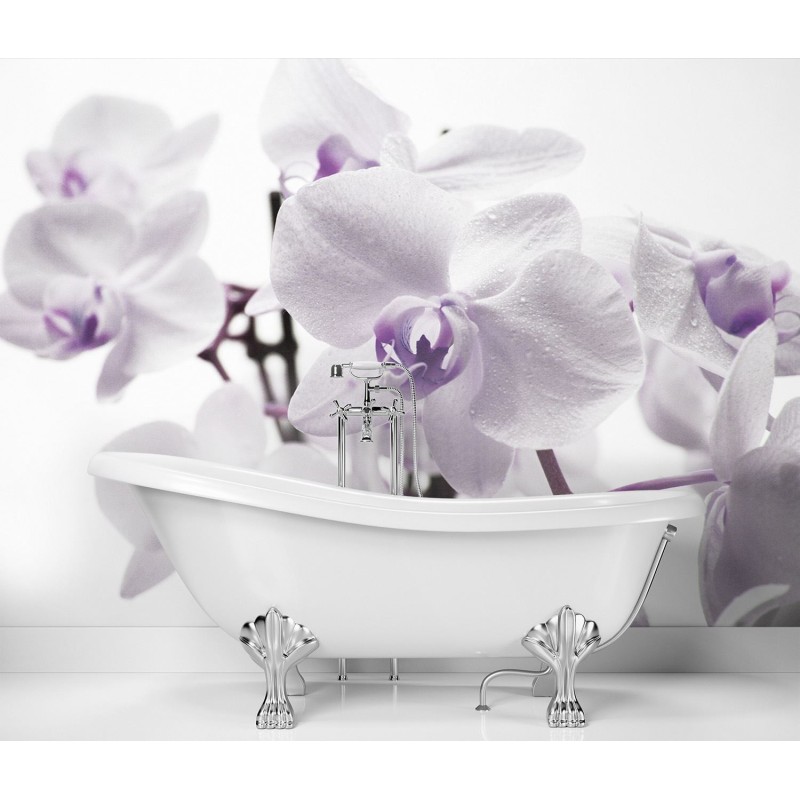 Modische Fototapete - Blühende Orchidee | Feeby