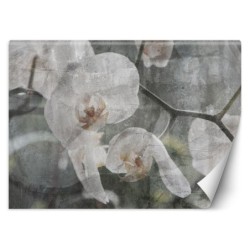 Moderne Fototapete - Orchidee Blumen Retro | Feeby
