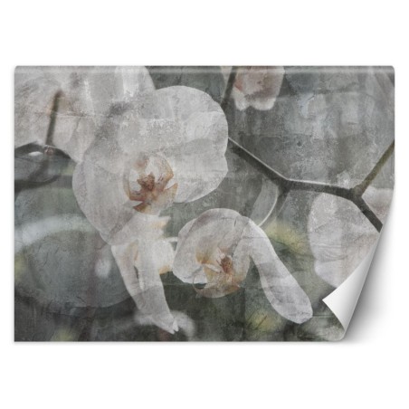 Moderne Fototapete - Orchidee Blumen Retro | Feeby