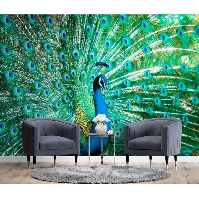 Fototapete - Bunte Vögel Pfau Natur | Feeby