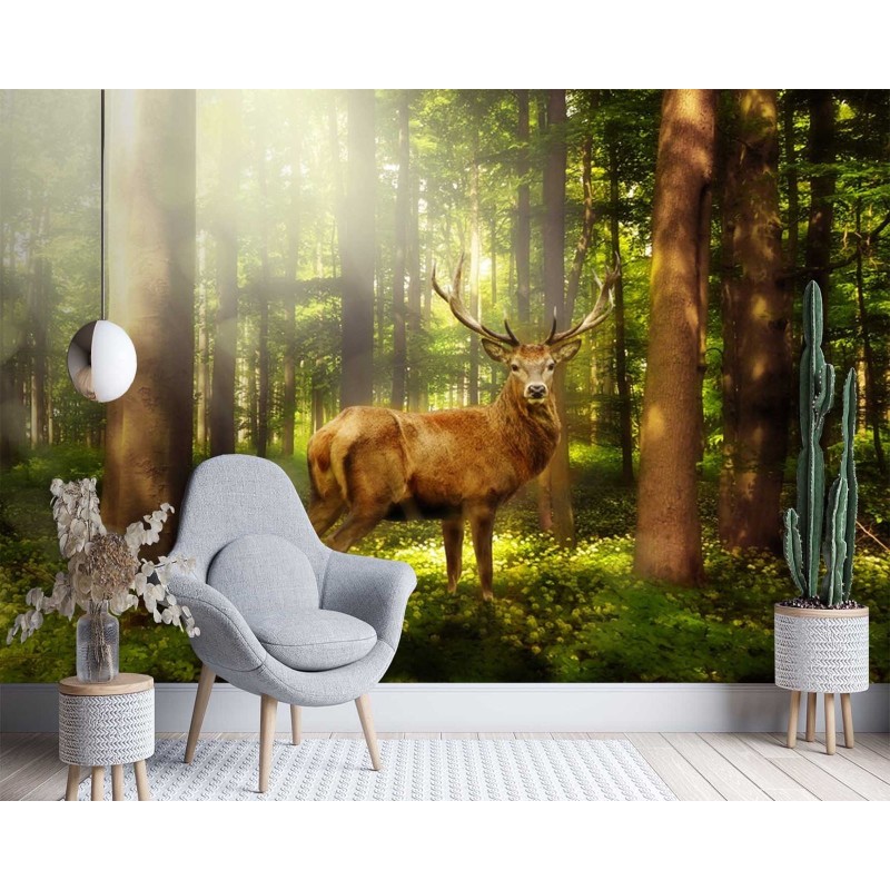 Moderne Fototapete - Hirsch Tiere Wald Natur | Feeby