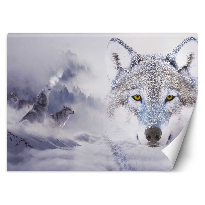 Modische Fototapete - Wolf im Nebel Natur Tiere | Feeby