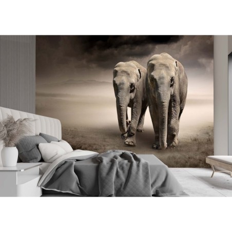 Fototapete - Elefanten Paar Tiere | Feeby
