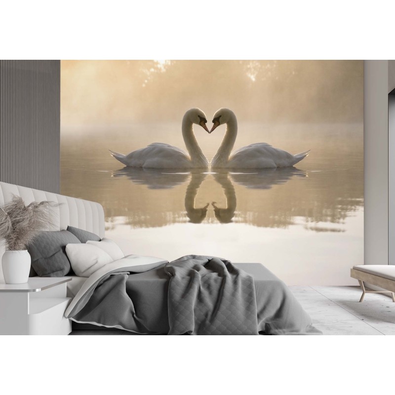 Moderne Fototapete - Verliebte Schwäne | Feeby