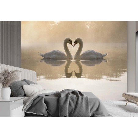 Moderne Fototapete - Verliebte Schwäne | Feeby