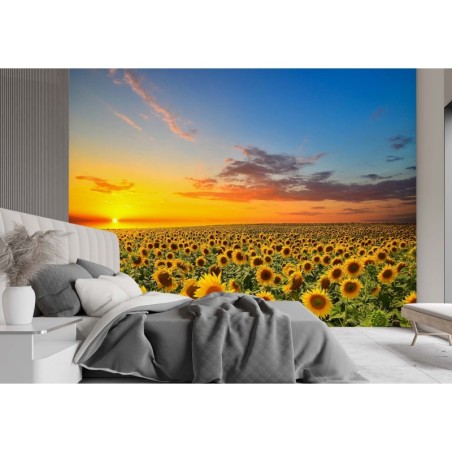 Stilvolle Fototapete - Sonnenblumen Feld Natur | Feeby