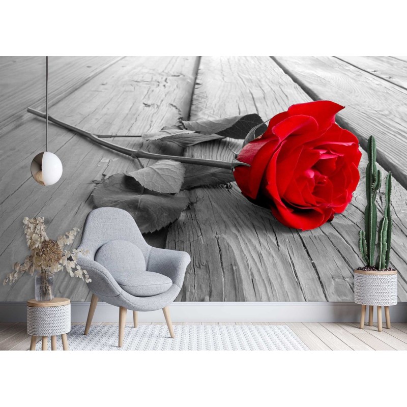 Modische Fototapete - Rote Rose Blumen Retro | Feeby
