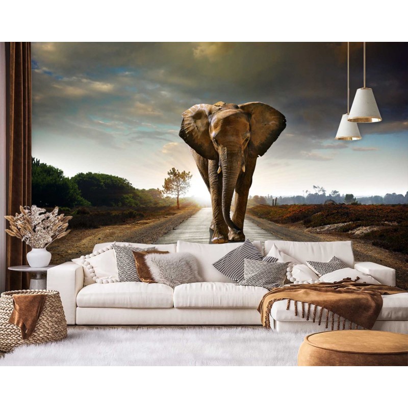 Stilvolle Fototapete - Elefant im Weg Tier Afrika | Feeby