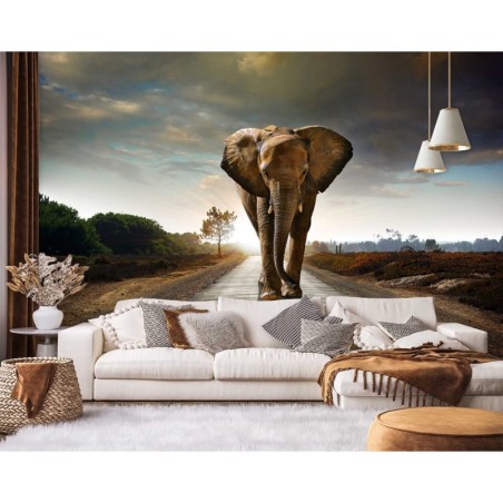 Stilvolle Fototapete - Elefant im Weg Tier Afrika | Feeby