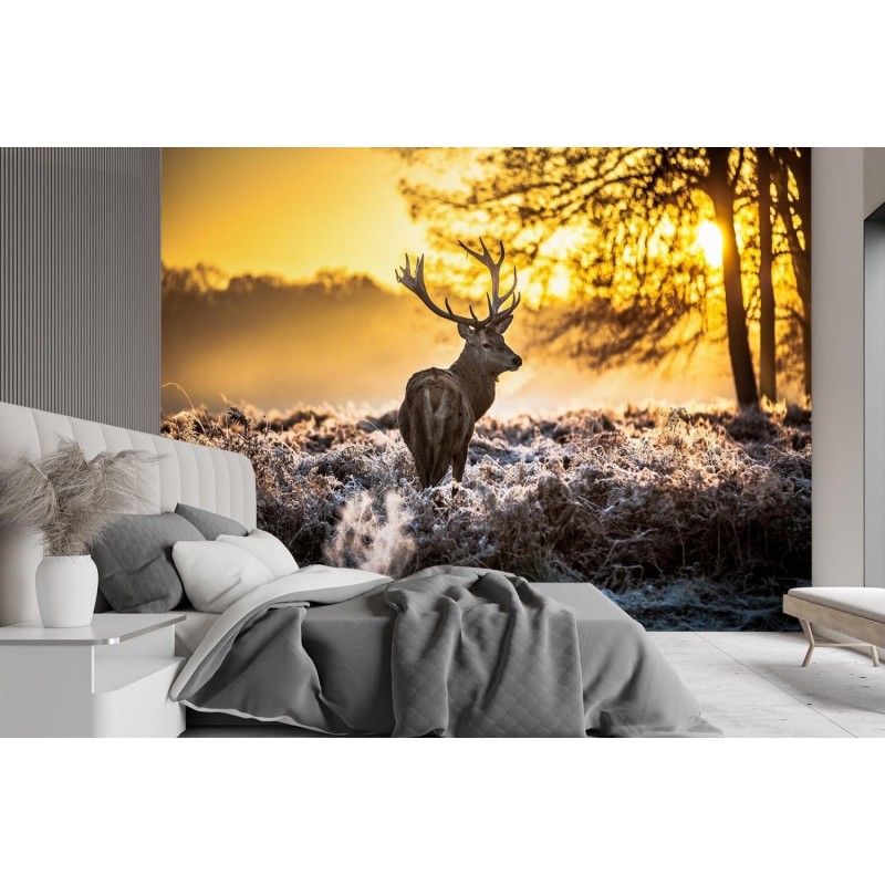 Fototapete - Hirsche im Nebel | Feeby