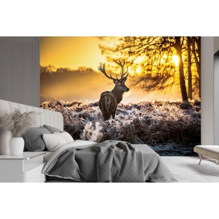 Fototapete - Hirsche im Nebel | Feeby