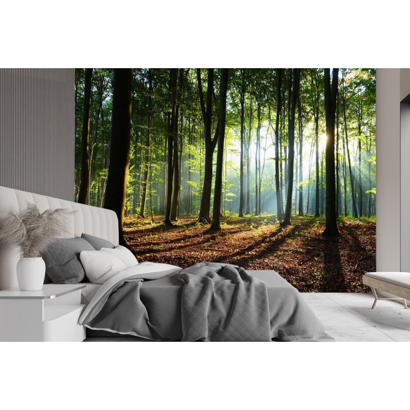 Stilvolle Fototapete - Morgens im Wald | Feeby