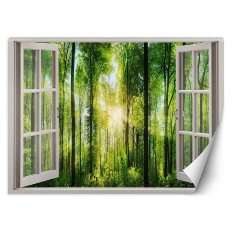 Fototapete - Fensterblick Sonnenstrahlen im Wald | Feeby