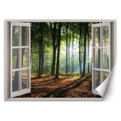 Fototapete - Fensterblick Morgen im Wald | Feeby